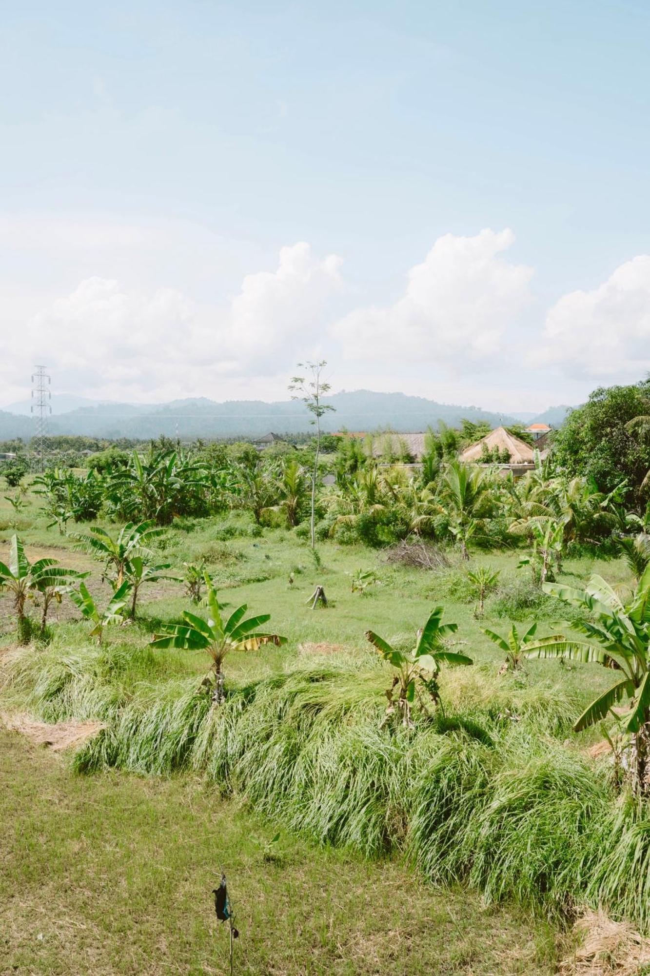 Three Palms Surf & Stay Medewi Airsatang Esterno foto